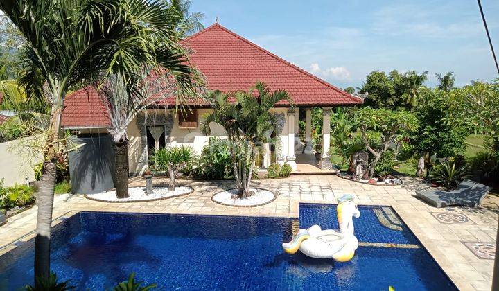 Hillside Villa in Panji, with guest houses and beautiful view 1