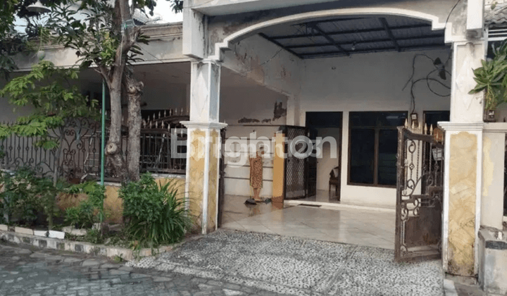 Rumah Minimalis 1 Lantai di Wiguna Tengah, Surabaya 1