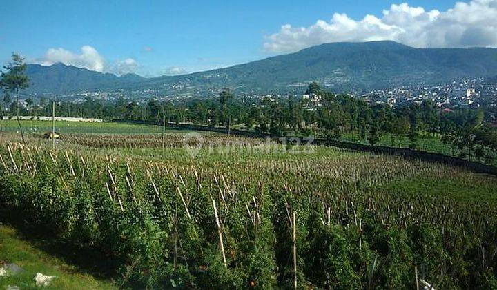 VIEW MENGAGUMKAN RUMAH MURAH DEKAT FLOATING MARKET, LEMBANG, BANDUNG UTARA 1