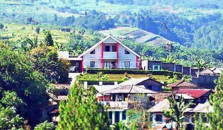 Vila Gubug Syifa Megamendung Puncak Bogor 2