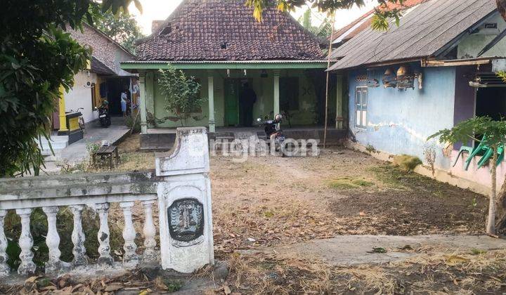 rumah kampung hitung tanah, di singkalan - Balong Bendo 2