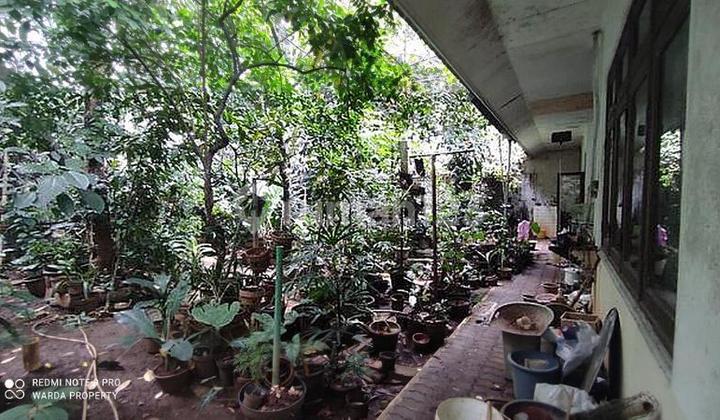 Dijual Rumah Tua Hitung Tanah Di Mampang Jakarta Selatan 2