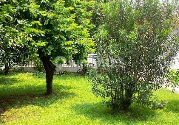 Dijual Depat Rumah Lama di Pejaten SHM - Sertifikat Hak Milik Rumah 2