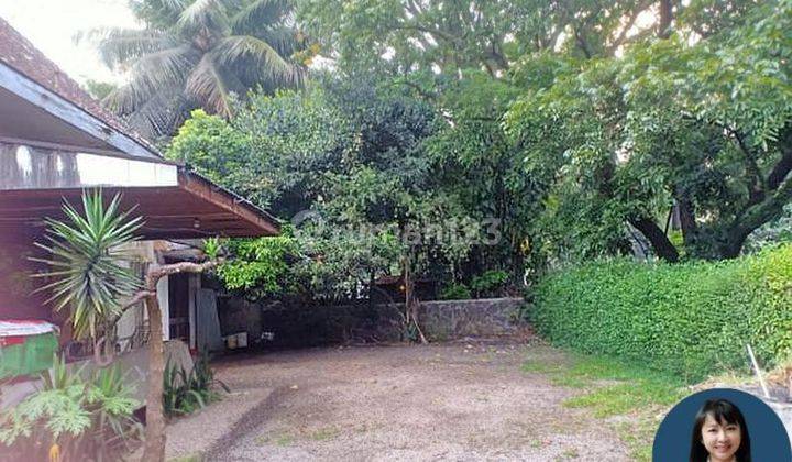 Rumah Sayap Riau Cocok untuk Cafe! Pasti Hokie 1