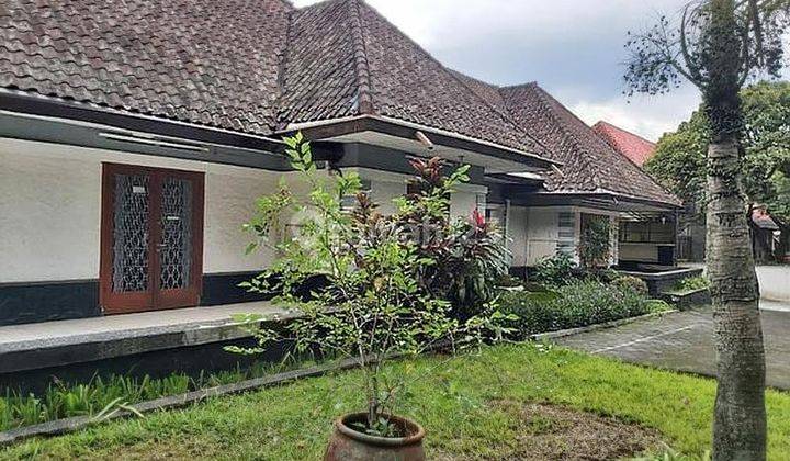 Ruang usaha di sayap riau cocok utk cafe ,restaurant, kantor,bank dsb 1