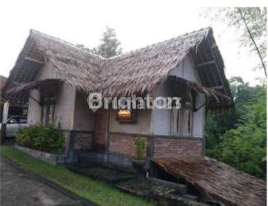 TANAH BONUS RUMAH CANTIK  UNTUK TEMPAT USAHA GAMPING SLLEMAN 1