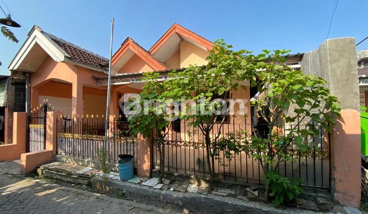 Rumah 1 lantai di lingkungan nyaman , strategis dekat kotaMAGERSARI Rumah 1 lantai di lingkungan nyaman , strategis dekat kotaMAGERSARI