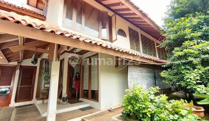 Puri Cinere Puri Cinere