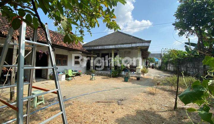 rumah di Jalan raya SOKO, Kab Tuban (dekat Bojonegoro) 2