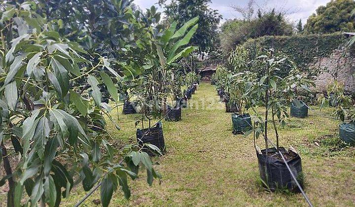 Jual Dibawah Harga Njop Rumah Di Setrasari 2