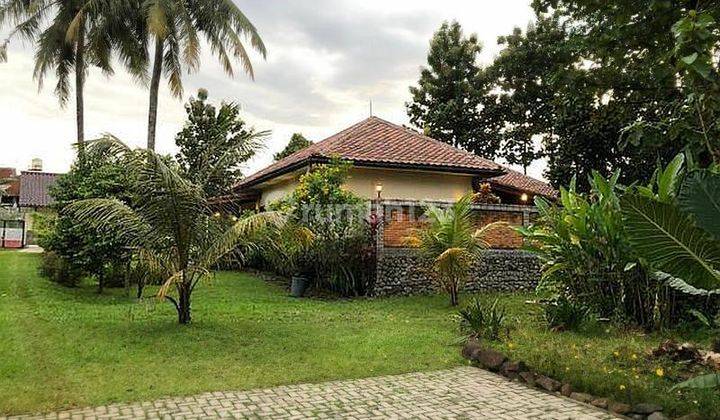 Rumah Hook Suasana Villa Di Tengah Kota Cocok Buat Berkebun 1