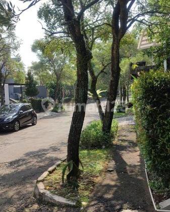 Rumah Disewakan Cepat Asri Dan Nyaman One Gate Security Di Cigadug Bandung Rumah Disewakan Cepat Asri Dan Nyaman One Gate Security Di Cigadug Bandung