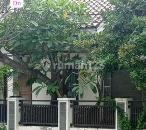 Rumah Bintaro sektor 3 A