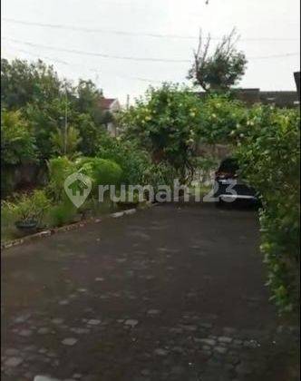 Rumah Di Jogja, Tengah Kota, Nyaman Asri, Taman Luas, Parkir Luas 2