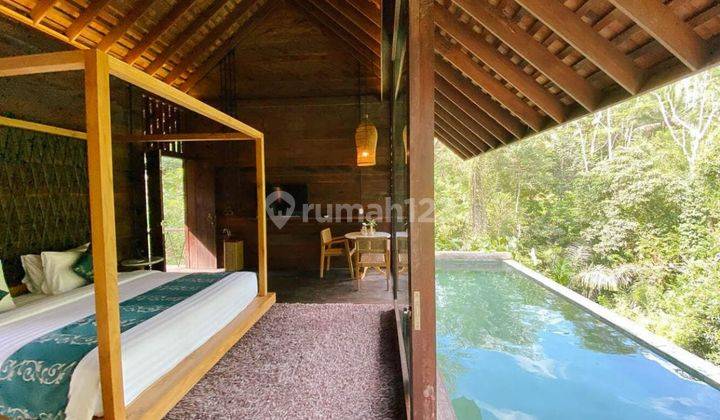 VILLA NUANSA ALAM DIKAWASAN ELIT UBUD BALI 1