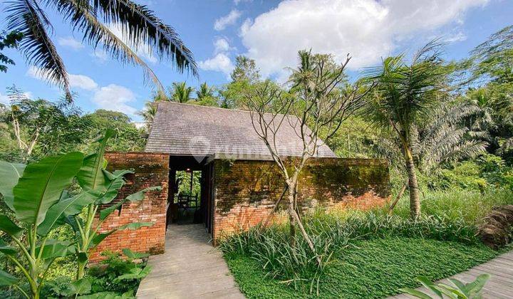 VILLA NUANSA ALAM DIKAWASAN ELIT UBUD BALI 2