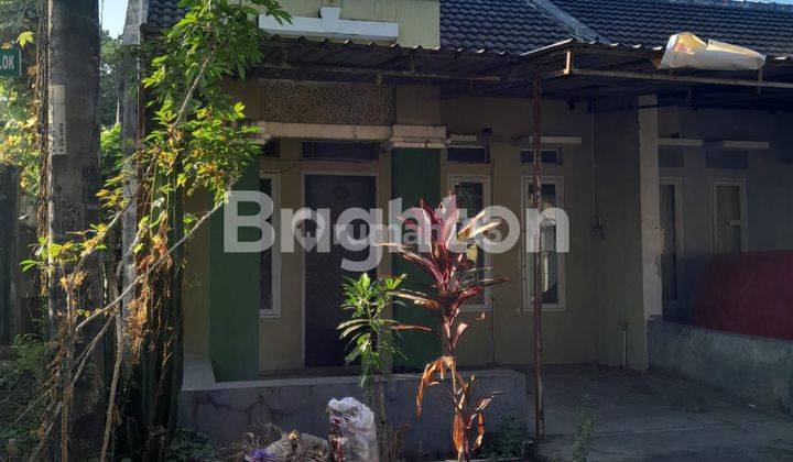 RUMAH MURAH TANJUNG BUNGA 2