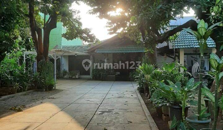 Rumah Luas Asri Dan Hijau Di Kalibata Jakarta Selatan 1