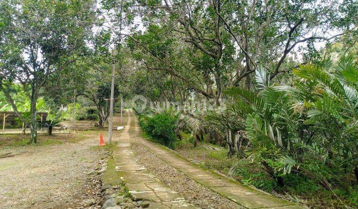 RESORT DAN RESTAURANT DI MOJOKERTO KECAMATAN GONDANG LUAS TANAH 190.236M2 DENGAN LAHAN YANG MASIH LUAS UNTUK DIKEMBANGKAN 2