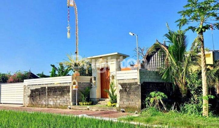 RUMAH NYAMAN DAN ASRI VIEW SAWAH MUNGGU BADUNG 1