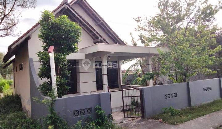 Rumah Dengan Pekarangan Luas 205 Meter Persegi Lokasi Sitimulyo Piyungan Bantul 1