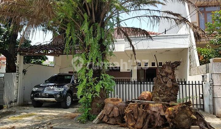 Rumah lama dekat ITC Cempaka Mas di Cempaka Putih Tengh