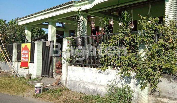 RUMAH LUAS SIAP HUNI PINGGIR JALAN RAYA DI TULUNGAGUNG 1