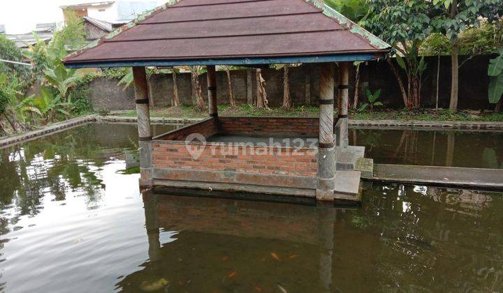 Rumah Villa Kolam JL Gotong Royong Cikaret Bogor 2