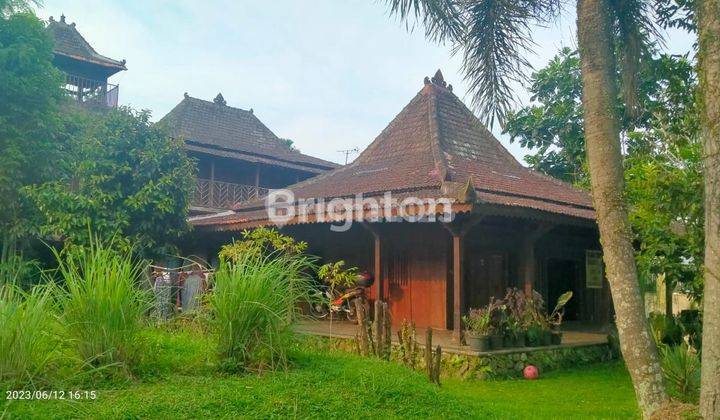 Rumah Berkonsep Kayu, Rapih Dan Cantik Lokasi Bnr Bogor 1