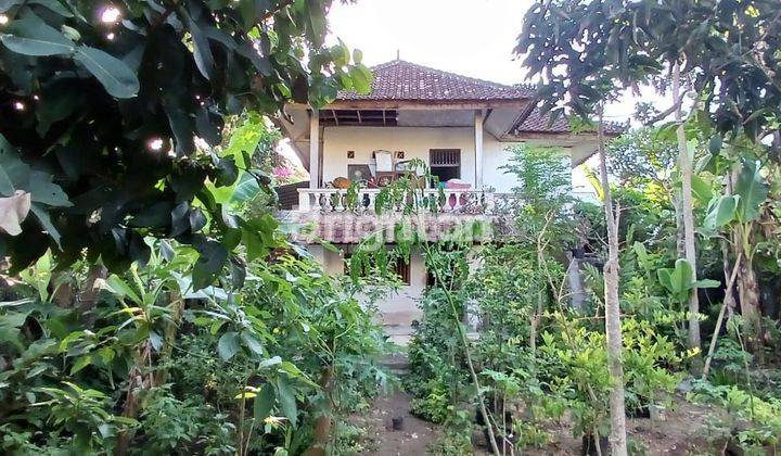 Jarang Ada! Rumah kan Murah di Pinggir Jalan Utama Goa Gong, Ungasan. 1