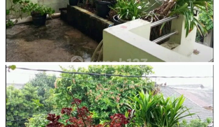 Rumah Cantik Asri Perumahan Reni Jaya Lama Pamulang Tangerang 2