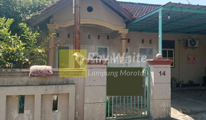 Rumah Tanah Luas di Sukabumi Bandar Lampung 1