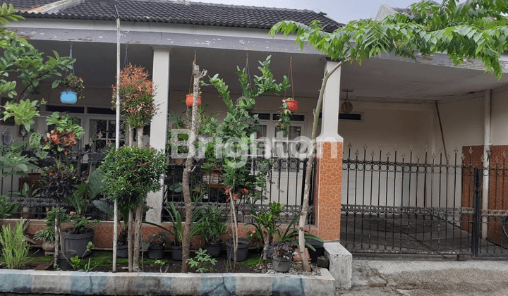 Rumah Asri Semi Furnished Jalan Ikan Ikan Hanya 10 Menit Ke Jalan Soehat 1