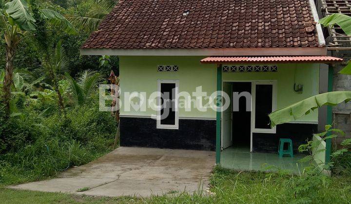 RUMAH DIJUAL Mangku Aspal Lebar, JALAN WATES KM 09 2