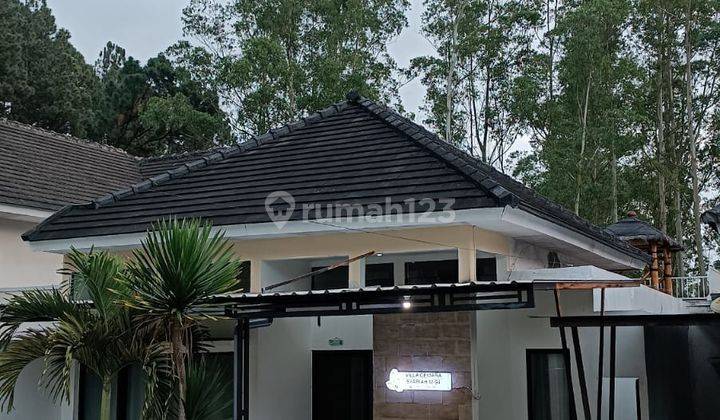 CEPAT RUMAH 1 LANTAI CANTIK & BAGUS MODERN SIAP HUNI HARGA TERJANGKAU 1