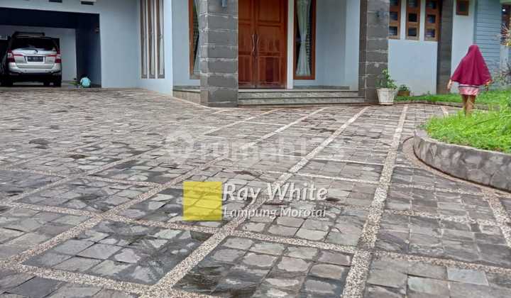 House with a very spacious yard. 2