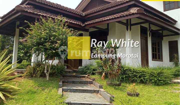 Rumah Area Bisnis ay