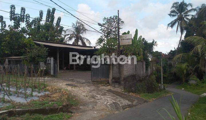 HOUSE + WAREHOUSE WITH LARGE YARD IN TABANAN 2