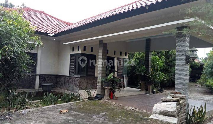 Rumah Luas Diwanasaba Talun Kab Cirebon 2