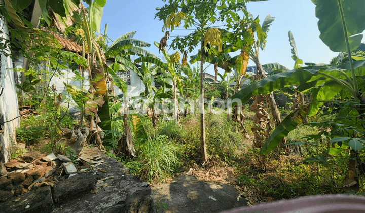 Rumah gudang di Jatingaleh - Semarang, hitung tanah saja 2