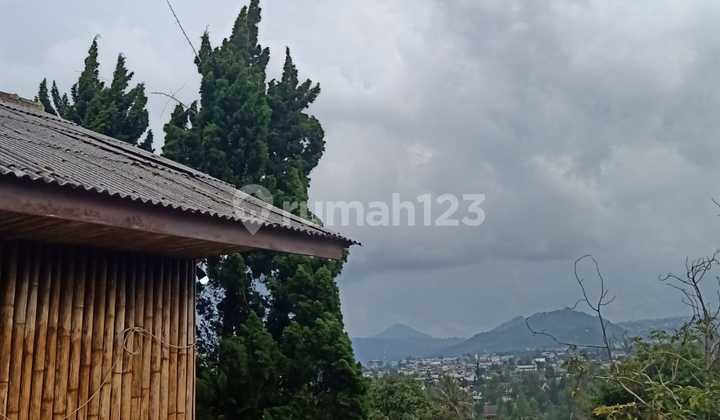 - Villa and Garden with an amazing view