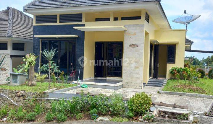 CEPAT RUMAH 1 LANTAI CANTIK & BAGUS MODERN HARGA TERJANGKAU 1