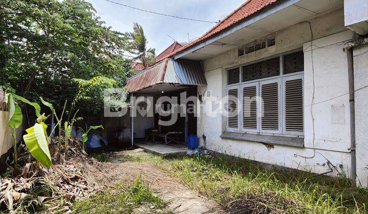 Rumah Jalan Ketupa - Surabaya Pusat. Rumah Kuno Layak Huni Hitung Tanah  2