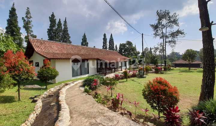 Di  COTTAGE di Jl Padat Karya Batukasur, Desa Batulayang Cisarua Bogor Jawa Barat