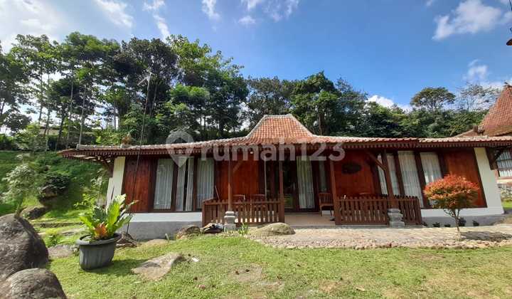 Di  COTTAGE di Jl Padat Karya Batukasur, Desa Batulayang Cisarua Bogor Jawa Barat 2
