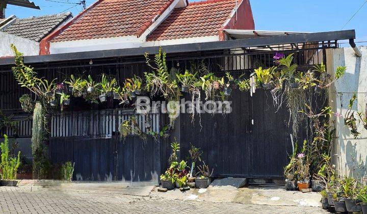 Rumah Mungil renovasi di Ikan Gurami 1