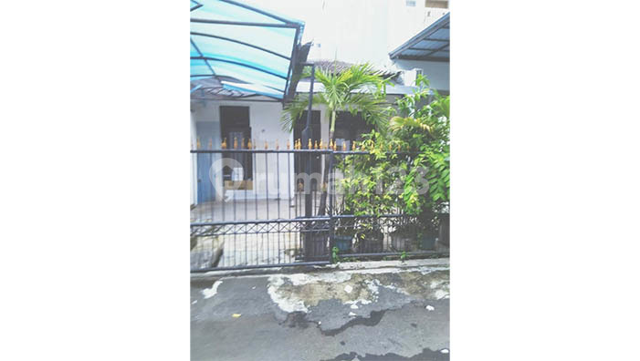 Yellow Coconut House, Kelapa Gading Area 6x15m2