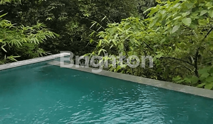 LUXURY VILLA IN THE MIDDLE OF DENPASAR CITY WITH THE ATMOSPHERE OF UBUD 2