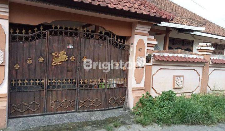 RUMAH CANTIK MODERN MINIMALIS DI MUDING DENPASAR 1