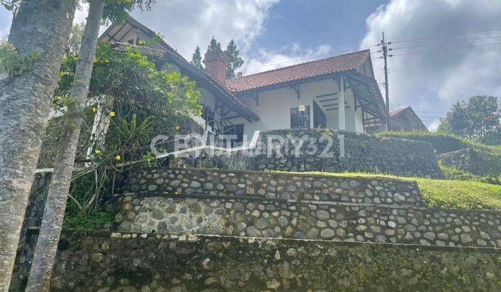 Villa View Gunung Di Megamendung Bogor 1